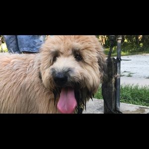 Meet your Posher, Sheri